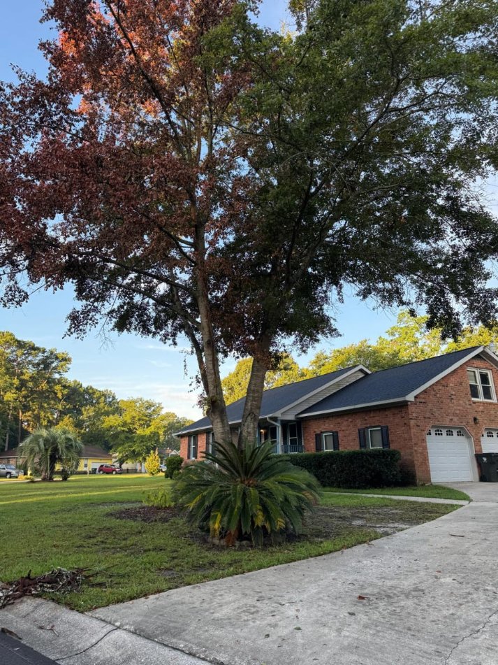 Lion Tree Service and Landscaping LLC project photo 47